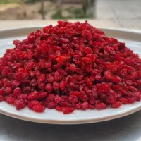 زرشک کاملا ارگانیک