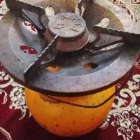 پیکنیک