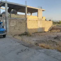 زمین-جی-شیر-سردار-باقری