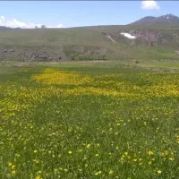 گردش اطراف یزد