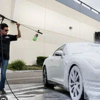 استخدام نیروی کارواش