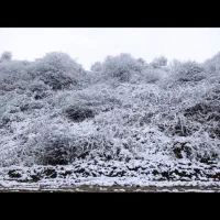 نظافت کلیه ساختمان (راه پله پارکینگ و داخل منزل)