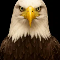 تا حالا پیش روانشناس رفتی