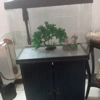 آکواریوم ماهی شرکتی