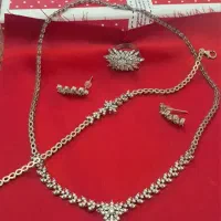 سرویس مجلسی نقره