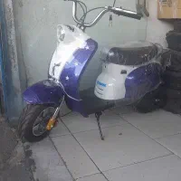 مینی پاکشتی