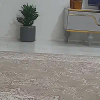 فروش و اجاره خاله ویلایی
