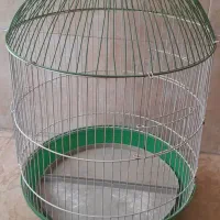 قفس