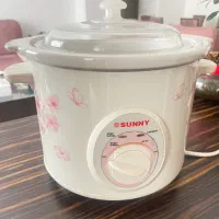 آرام پز دیجیتال  سانی