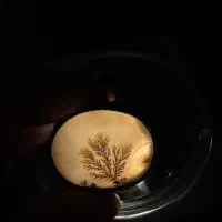 انگشتر شجر دست‌ساز