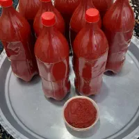 رب خانگی