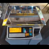 ترازوی بدون علمک رادین مدل NEXT 70کیلو و علمکدار