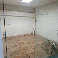 مغازه اجاره ایی