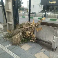 علفتراشی باغبانی وهرس درختان