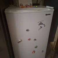 یخچال پلار۶ فوت