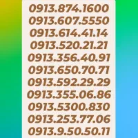 0913.010.6008