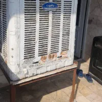 کولر سالم سایز 3200سالم با چهار پایه چرخ دار