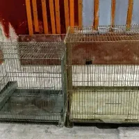 قفس سره و سهره قناری