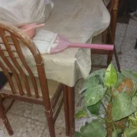 میز صندلی میز غذاخوری