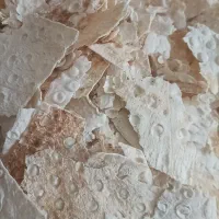 نان خشک برای حیوان