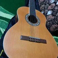 گیتار پارسی