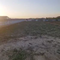 زمین-ملکی