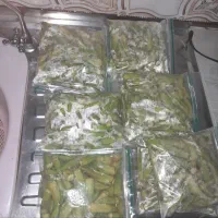 سبزی وانواع سبزی موجوداست