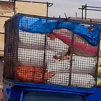 باربندتوری نیسان