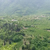 دنبال زمین کشاورزی هستم