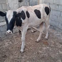 ایستگاه هشت فرح آباد