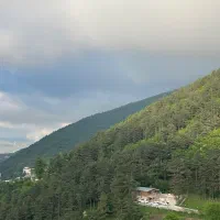 ویلا جنگلی دربست