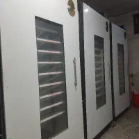 تعمیر و کالیبره دستگاه جوجه کِشی