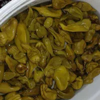 محصولات خانگی سربداران