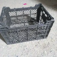 سبد میوه