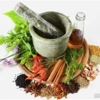 درآمد درکنار خانواده و احترام به حریم خانواده