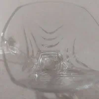 استکان درحد بدون لب پریدگی سالم