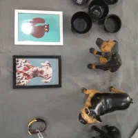 وسایل نگهداری و تزئینات سگ و گربه