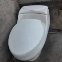 تووالت فرنگی