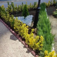 خدمات کامل باغبانی هرس کودهی گلکاری طراحی