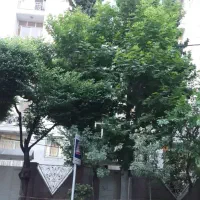 ولی عصر روبروی پارک ملت ۱۰۳متر فروشی