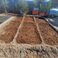 کود حیوانی گوسفندی