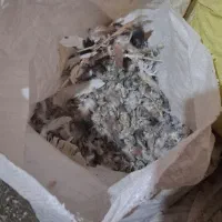 کودکفترحدودآ ۳۰تا