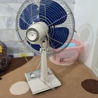 پنکه تو شیبا