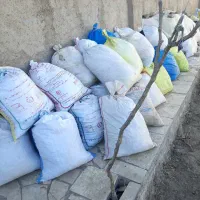 کود کبوتر