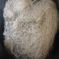 تور ماهیگیری
