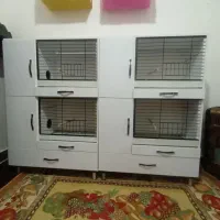 چهار عدد لونه عروس هلندی