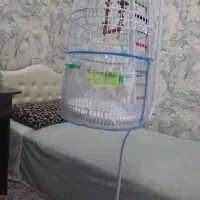 لوازم وقفس پرنده