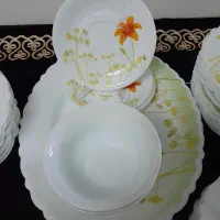 ظروف پذیرایی