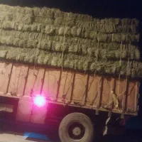 فروش یونجه درجه یک