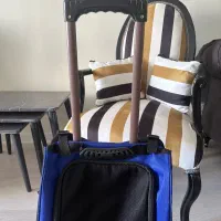 کیف|لوازم جانبی حیوانات|تهران, مجیدآباد|دیوار